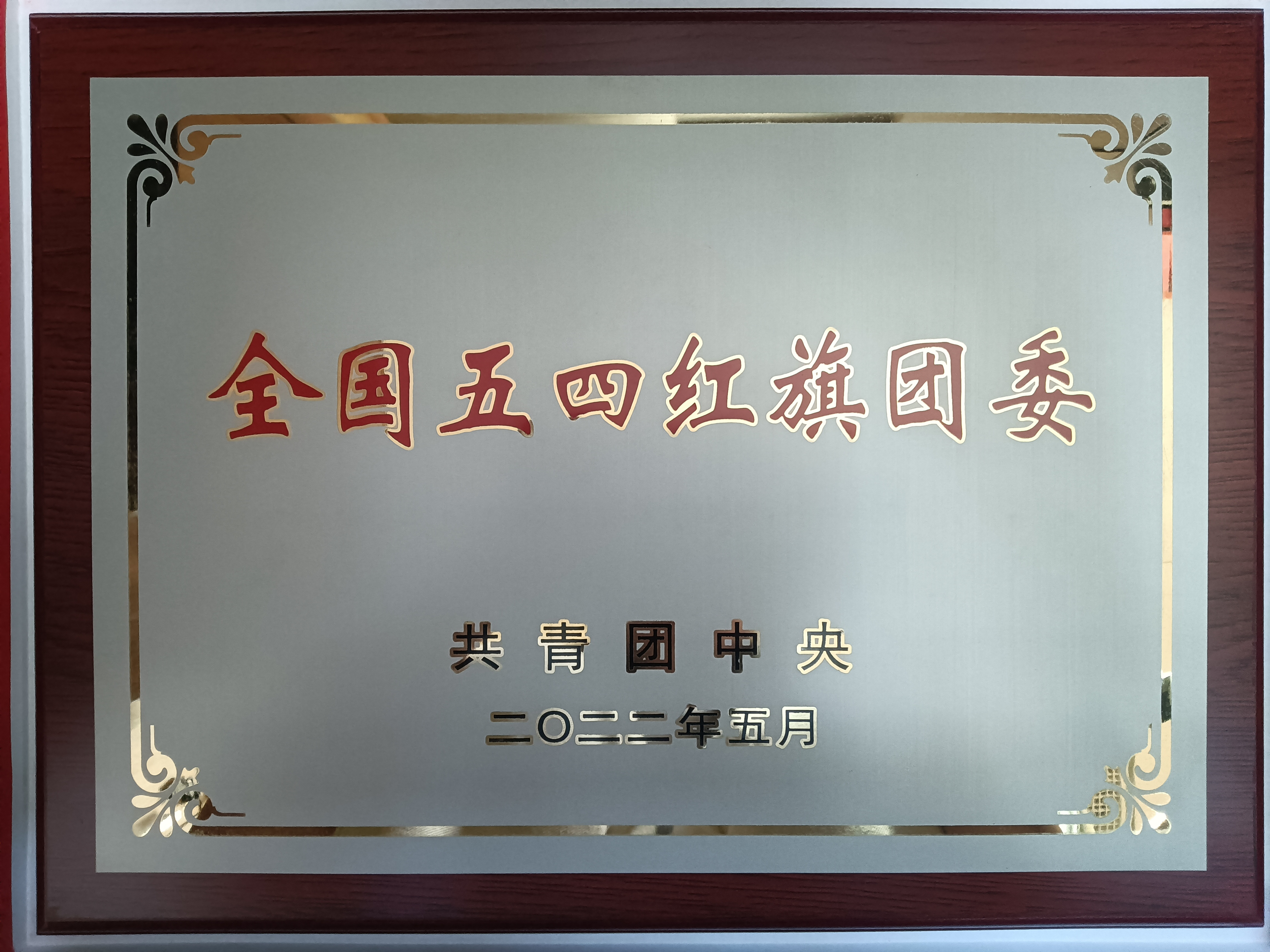 青春当燃！2022，江南官方网页版青年这样走过