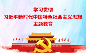 学习贯彻习近平新时代江南(中国)特色社会主义思想主题教育
