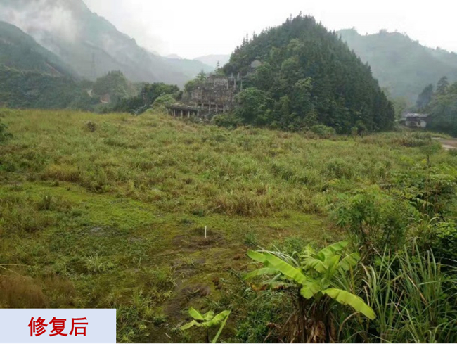 主题教育进行时 | “学思想、强党性、重实践、建新功”江南官方网页版故事系列展播（十一）打造重金属污染治理和生态环保的江南官方网页版力量