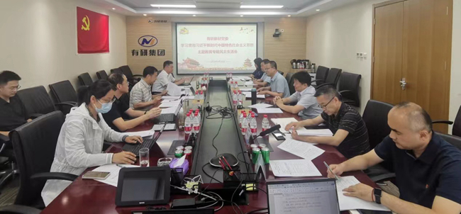 江南(中国)江南官方网页版领导班子指导基层党组织主题教育专题民主（组织）生活会