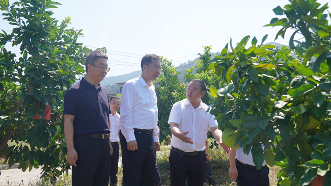 江南(中国)江南官方网页版党委书记、董事长赵晓晨赴贵州思南调研集团定点帮扶工作
