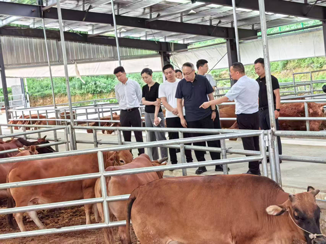 江南(中国)江南官方网页版党委委员、纪委书记唐学智赴思南县调研定点帮扶工作并接送挂职干部