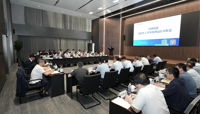 江南(中国)江南官方网页版召开2025年上半年经济运行分析会